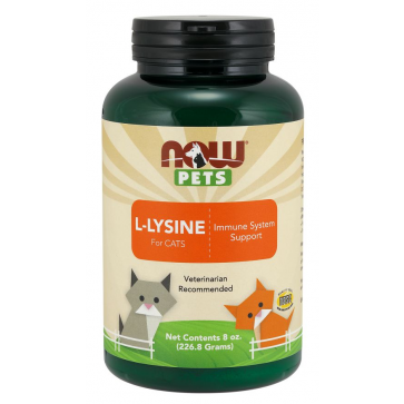 L Lysine for Cats para gatos em pó 8oz 226g NOW Pets